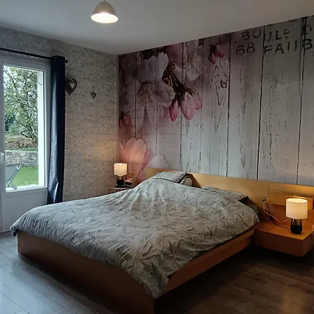 Maison Familiale Tres Spacieuse Avec Jardin, Ping Pong , Baby Foot, Commerces Nyaraló *
